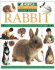 Rabbit (How to Look After Your Pet)