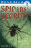 Spiders' Secrets (Dk Readers Level 3)