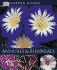 Annuals & Biennials (Dk Garden Guides)