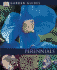 Perennials (Dk Garden Guides)