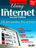 Using the Internet
