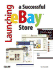 Launching a Successful Ebay Store