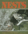 Nests Literacy 2000 Satellites Stage 2 Set C