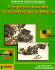 Complete Camcorder Troubleshooting & Repair