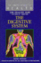 The Digestive System (Encyclopedia of Health)