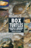 Box Turtles: Keeping & Breeding Them in Captivity (Basic Domestic Reptile & Amphibian Library)