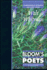 Walt Whitman (Bloom's Major Poets)