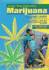 Marijuana (Junior Drug Awareness)