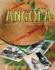 Angola, 1880 to the Present: Slavery, Exploitation and Revolt