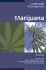 Marijuana (Drugs: the Straight Facts)