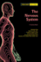 The Nervous System (Your Body How It Works)