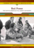 Red Power: the Native American Civil Rights Movement (Landmark Events in Native American History)