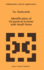 Identification of Dynamical Systems With Small Noi