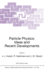 Particle Physics: Ideas and Recent Developments