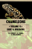 The Guide to Owning a Chameleon