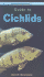 Pocket Professional Guide to Cichlids