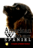 American Water Spaniel (Complete & Reliable Handbook)