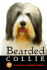 Bearded Collie: a Complete and Reliable Handbook