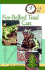 Fire-Bellied Toad (Quick & Easy)