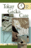 Quick & Easy Tokay Gecko Care