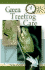 Quick & Easy Green Treefrog Care