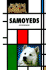 Samoyeds