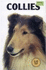 Collies