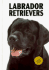 Labrador Retrievers Kw040