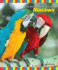 Macaws (the Birdkeepers' Guides)