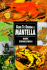 Guide to Owning a Mantella