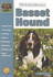 The Guide to Owning a Basset Hound