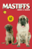 Mastiffs
