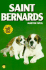 Saint Bernard