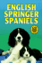 English Springer Spaniels Kw081