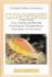 Clownfishes (Creating the Marine Environment)