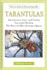 Tarantulas: Success With an Invertebrate Pet