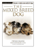 The Mixed-Breed Dog (Terra-Nova)