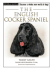 The English Cocker Spaniel (Terra-Nova)