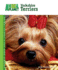 T.F.H. Publications Nylabone Animal Planet-Yorkshire Terriers Book