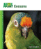 Conures (Animal Planet� Pet Care Library)