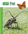 Bugs as Pets (Animal Planet Pet Care Library)