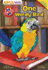 Aspca Paw Pals: One Wordy Bird