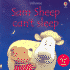 Sam Sheep Can't Sleep: a Phonics Flap Book (Phonics Board Books)