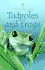 Tadpoles and Frogs (Beginners)