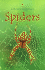 Spiders (Beginners)