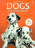 Usborne Dogs Sticker Book (Spotter's Guides Sticker Books)