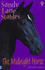 The Midnight Horse (Sandy Lane Stables)
