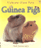 Guinea Pigs (First Pets)
