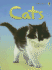Cats (Usborne Beginners, Level 1)