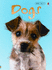 Dogs (Beginners Nature: Level 1)